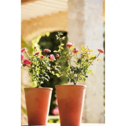 Terracotta Long Tom Plant Pot - 23cm -Garden Decoration 12805967 1664833173242506