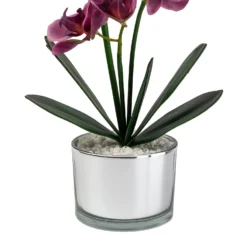 Orchid With Silver Glass Pot - Purple -Garden Decoration 12879285 1054864281948609