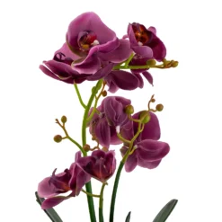 Orchid With Silver Glass Pot - Purple -Garden Decoration 12879285 2084864281975504