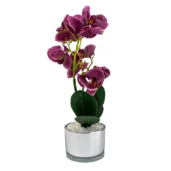 Orchid With Silver Glass Pot - Purple -Garden Decoration 12879285 4804864281923592