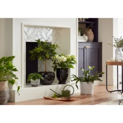 Hampton Moon Ceramic Pot - 14cm 5 Hampton Moon Ceramic Pot - 14cm -Garden Decoration 12890772 6174948242795534