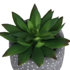 Small Succulent - Grey -Garden Decoration 12909500 1734869235660464