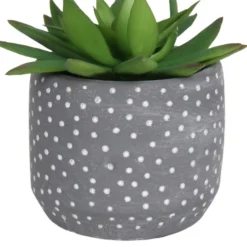 Small Succulent - Grey -Garden Decoration 12909500 2024869235581411