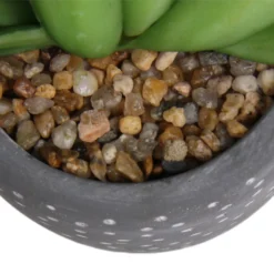 Small Succulent - Grey -Garden Decoration 12909500 5574869235621944