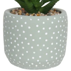 Small Succulent - Green -Garden Decoration 12909501 1514869235621446
