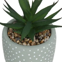 Small Succulent - Green -Garden Decoration 12909501 2094869235594320