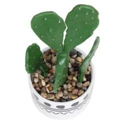 Cactus In Abstract Pot -Garden Decoration 12909502 1064869235554777