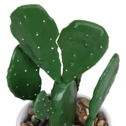 Cactus In Abstract Pot -Garden Decoration 12909502 1344869235594629