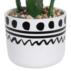 Cactus In Abstract Pot -Garden Decoration 12909502 2064869235687110