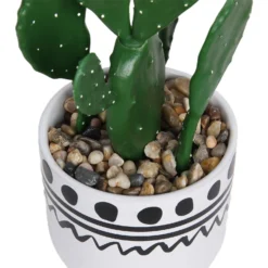 Cactus In Abstract Pot -Garden Decoration 12909502 2094869235640256