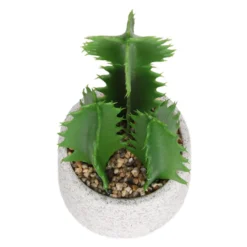 Cactus In Textured Pot -Garden Decoration 12909506 2804869235539384