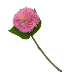 Chrysanthemum - Pink