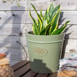 Country Living Heritage Sage Cone Pot - 41cm -Garden Decoration 13188757 4084933183259961