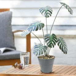 Ribbed Planter (3 Colour Mix) - 12cm -Garden Decoration 13193954 4474933504214550