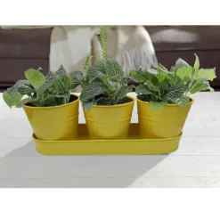 Zinc Ribbed Herb Pots & Tray -Garden Decoration 13193962 8744933502628279