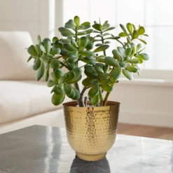 Hammered Brass Indoor Plant Pot - 20cm -Garden Decoration 13887187 1564999810046550