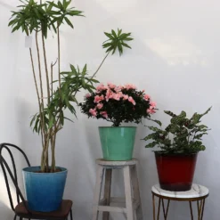 Glazed Finish Planter Mustard 40cm -Garden Decoration 13928632 3495001956393211