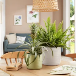 Scheurich Ripple White Indoor Pot - 20cm -Garden Decoration 13953260 1154987120198644