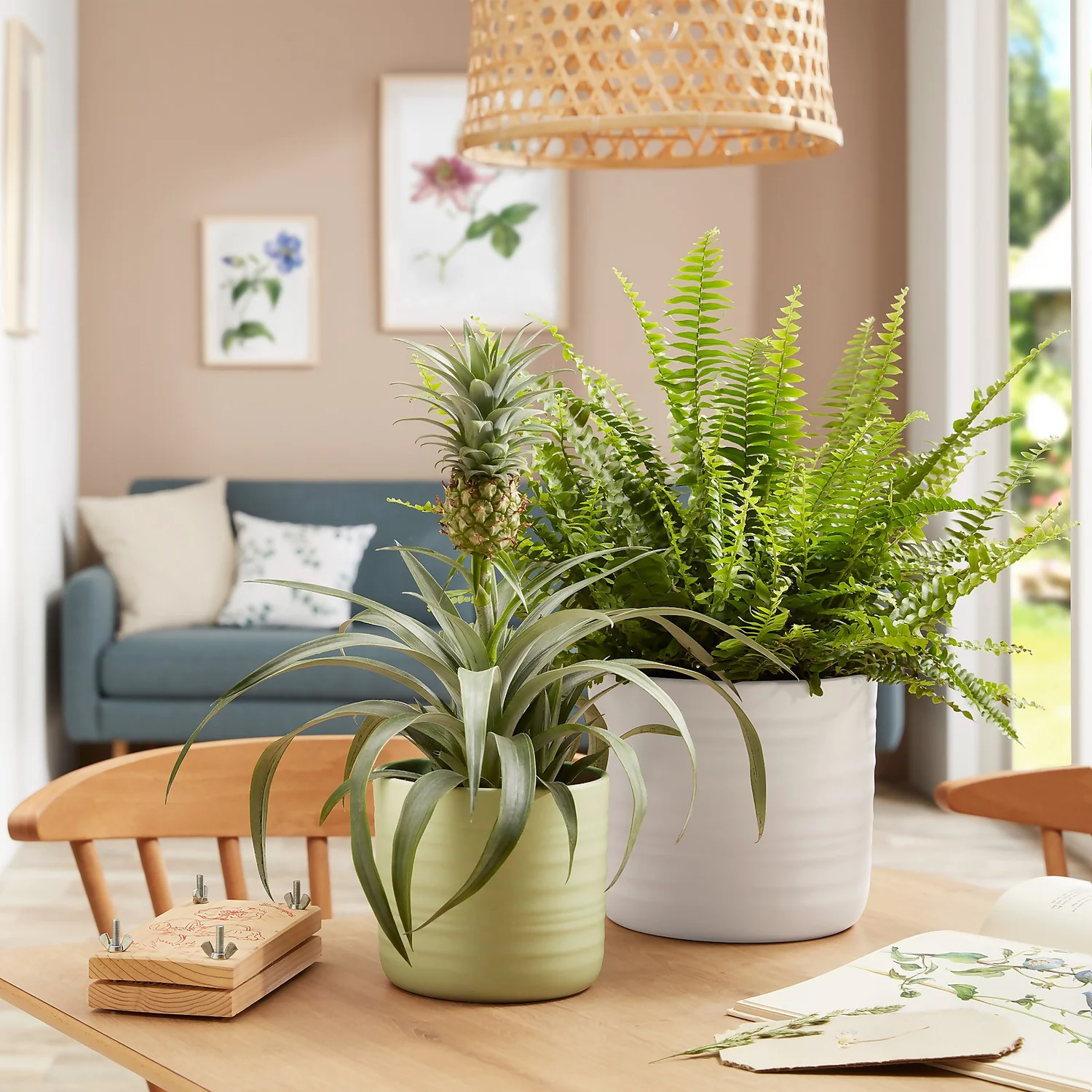 Scheurich Ripple Soft Green Indoor Pot - 12cm 2 Scheurich Ripple Soft Green Indoor Pot - 12cm - Image 2