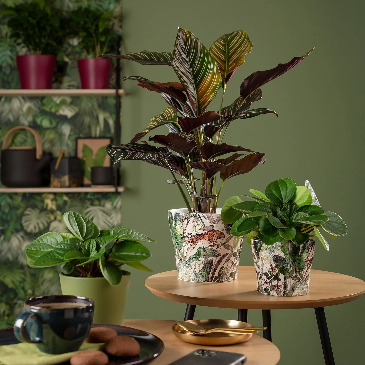 Scheurich Wildlife Indoor Pot - 13cm 2 Scheurich Wildlife Indoor Pot - 13cm - Image 2