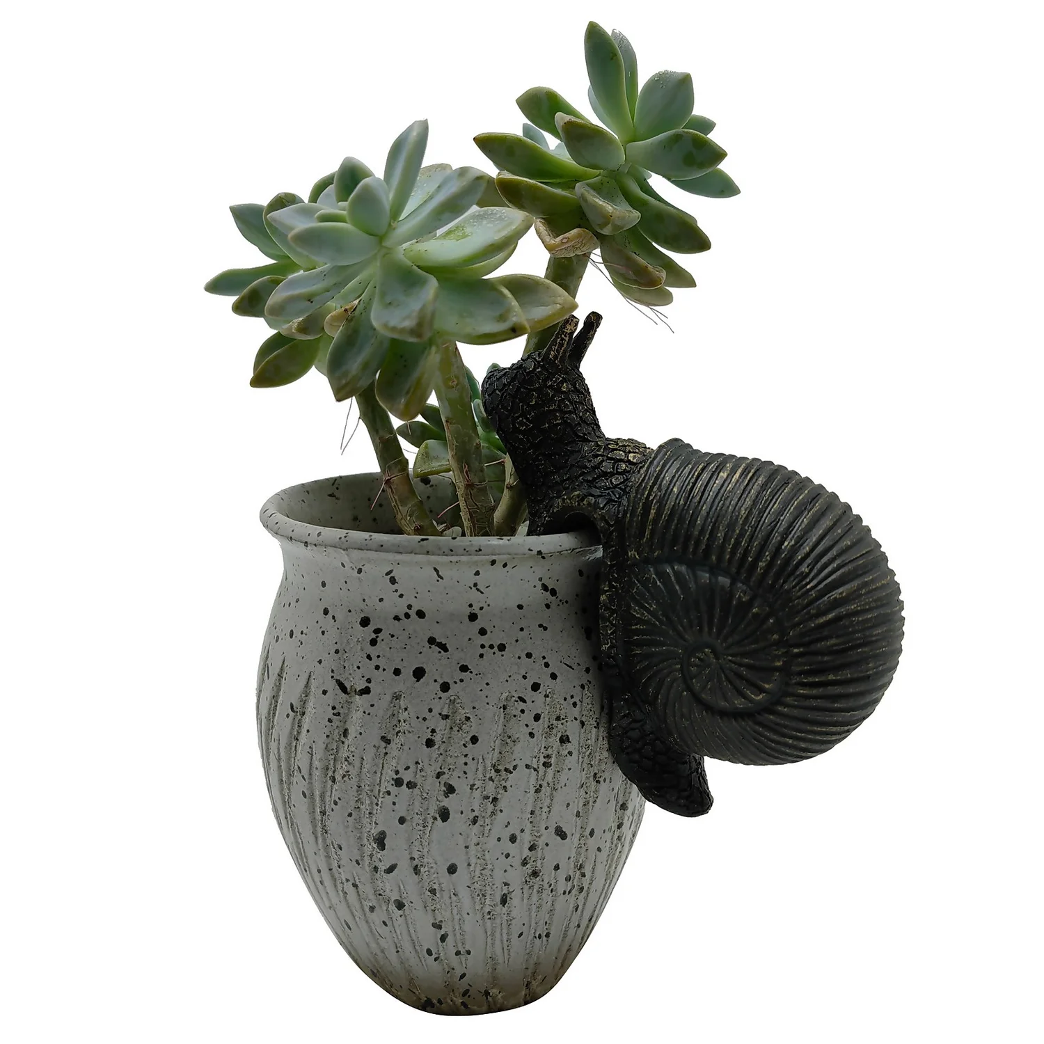 Homebase Animal Pot Hangers - Assorted Designs 6 Homebase Animal Pot Hangers - Assorted Designs - Image 6