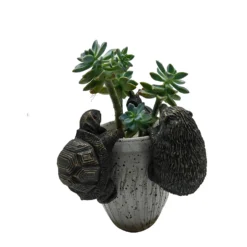 Homebase Animal Pot Hangers - Assorted Designs 11 Homebase Animal Pot Hangers - Assorted Designs -Garden Decoration 13955518 1865014596896211