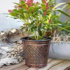 Vintage Allium Patterned Cone Pot - 37cm 11 Vintage Allium Patterned Cone Pot - 37cm -Garden Decoration 13973621 1465011240040754
