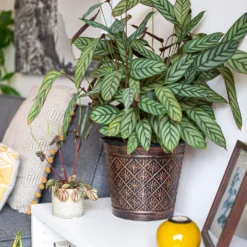 Vintage Allium Patterned Cone Pot - 37cm 10 Vintage Allium Patterned Cone Pot - 37cm -Garden Decoration 13973621 6475011239983391