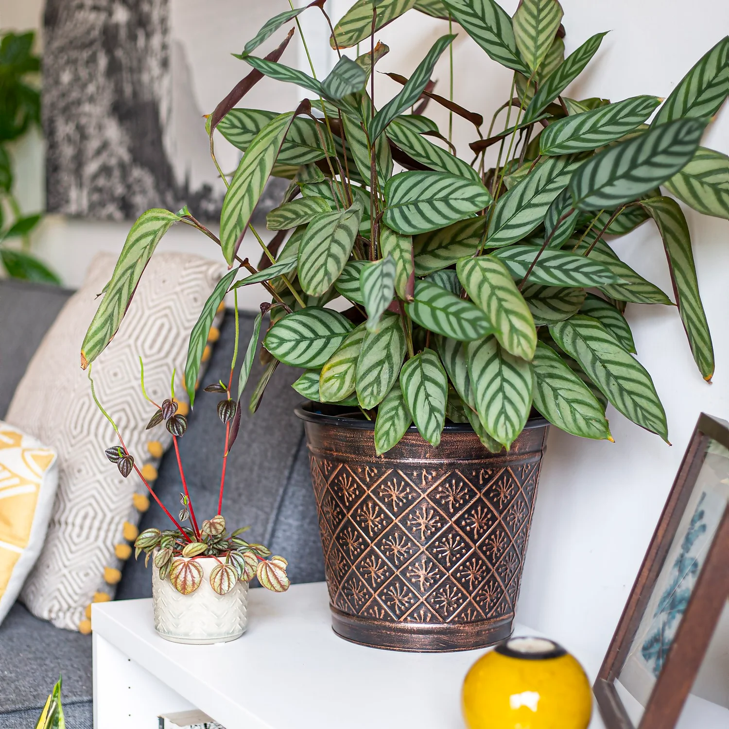 Vintage Allium Patterned Cone Pot - 37cm 5 Vintage Allium Patterned Cone Pot - 37cm - Image 5