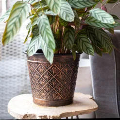 Vintage Allium Patterned Cone Pot - 37cm 9 Vintage Allium Patterned Cone Pot - 37cm -Garden Decoration 13973621 8485011239919857