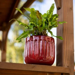 Chiswick Running Pot Red - 18cm -Garden Decoration 13973651 1775011238634708