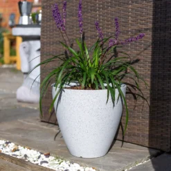 Pinto Egg Pot Beige - 37cm -Garden Decoration 13973673 2105011238792967