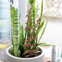 Floral Bronze Ground Stakes - 45cm (Assorted Designs) 15 Floral Bronze Ground Stakes - 45cm (Assorted Designs) -Garden Decoration 13981009 1695005324721013