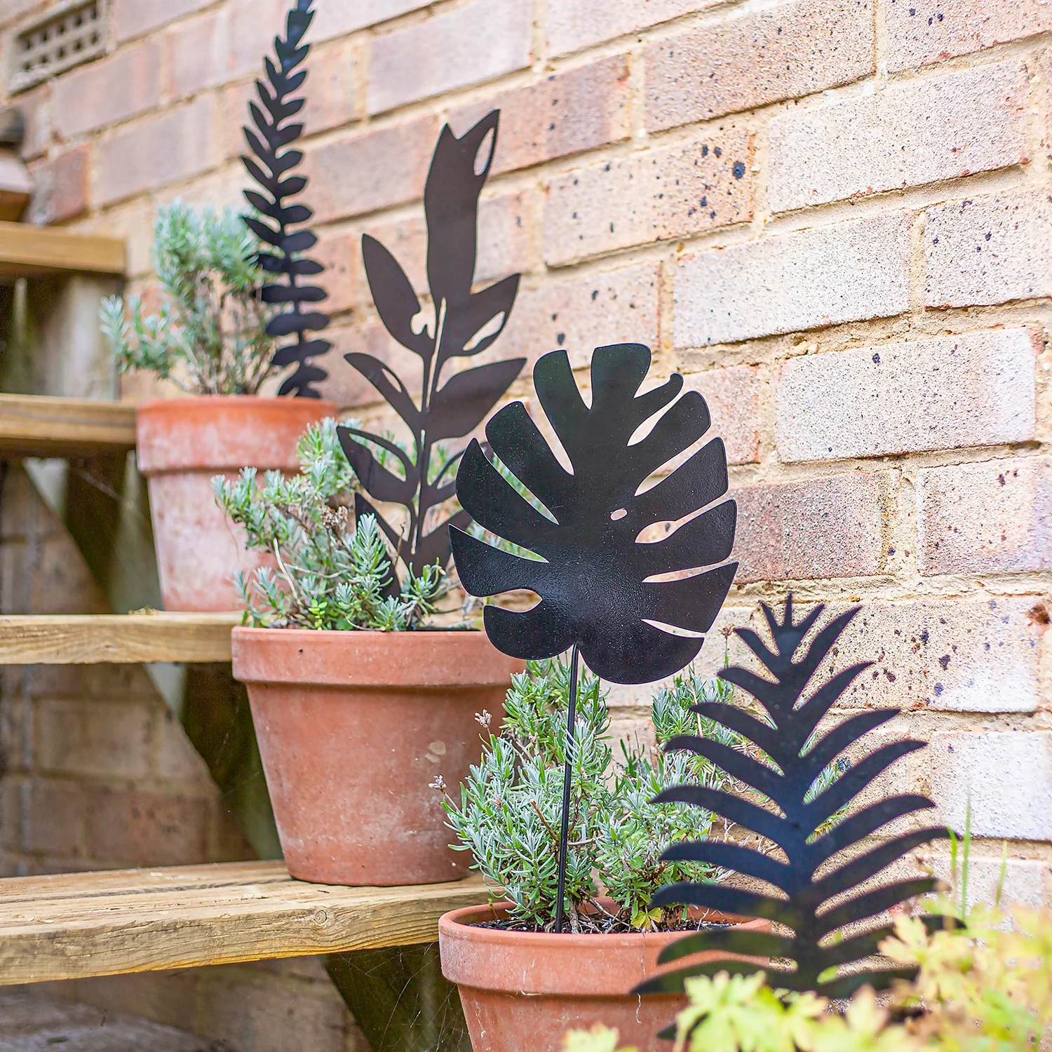 Jungle Black Ground Stakes - 45cm (Assorted Designs) 2 Jungle Black Ground Stakes - 45cm (Assorted Designs) - Image 2
