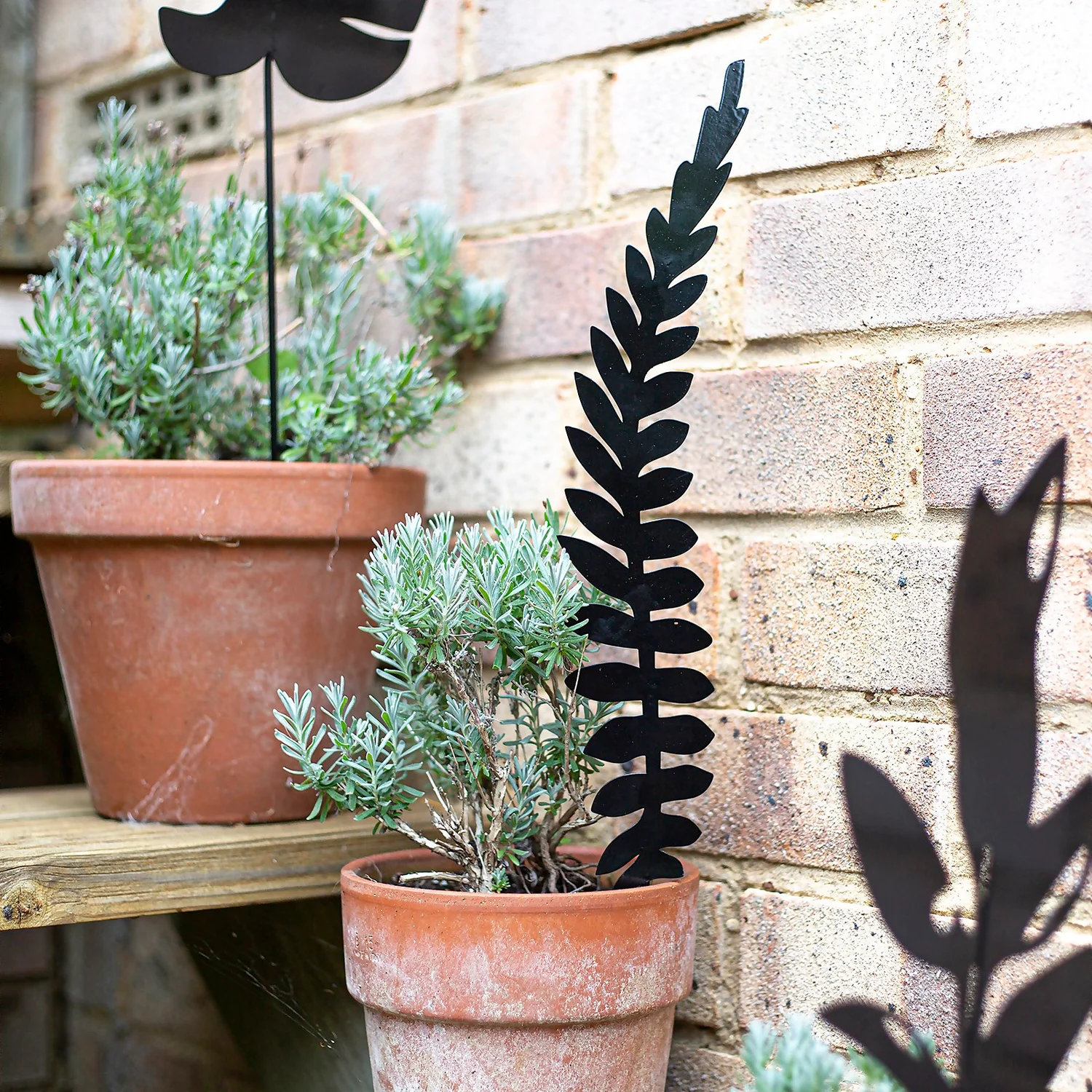 Jungle Black Ground Stakes - 45cm (Assorted Designs) 7 Jungle Black Ground Stakes - 45cm (Assorted Designs) - Image 7