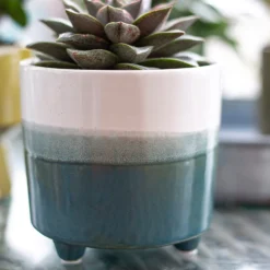 Two Tone Ombre Indoor Plant Pot - 12cm -Garden Decoration 14197407 8595024191498422