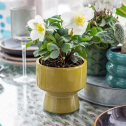 Chamfered Indoor Plant Pot - 13cm -Garden Decoration 14197408 1605024191451436