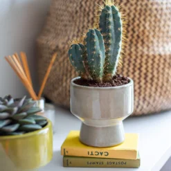 Chamfered Indoor Plant Pot - 13cm -Garden Decoration 14197408 4575024191304589