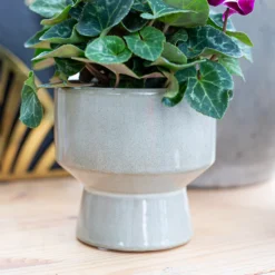 Chamfered Indoor Plant Pot - 13cm -Garden Decoration 14197408 5435024191504467