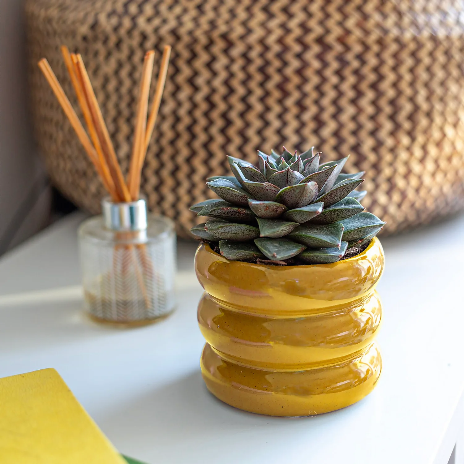 Ribbed Indoor Plant Pot - 11cm 5 Ribbed Indoor Plant Pot - 11cm - Image 5