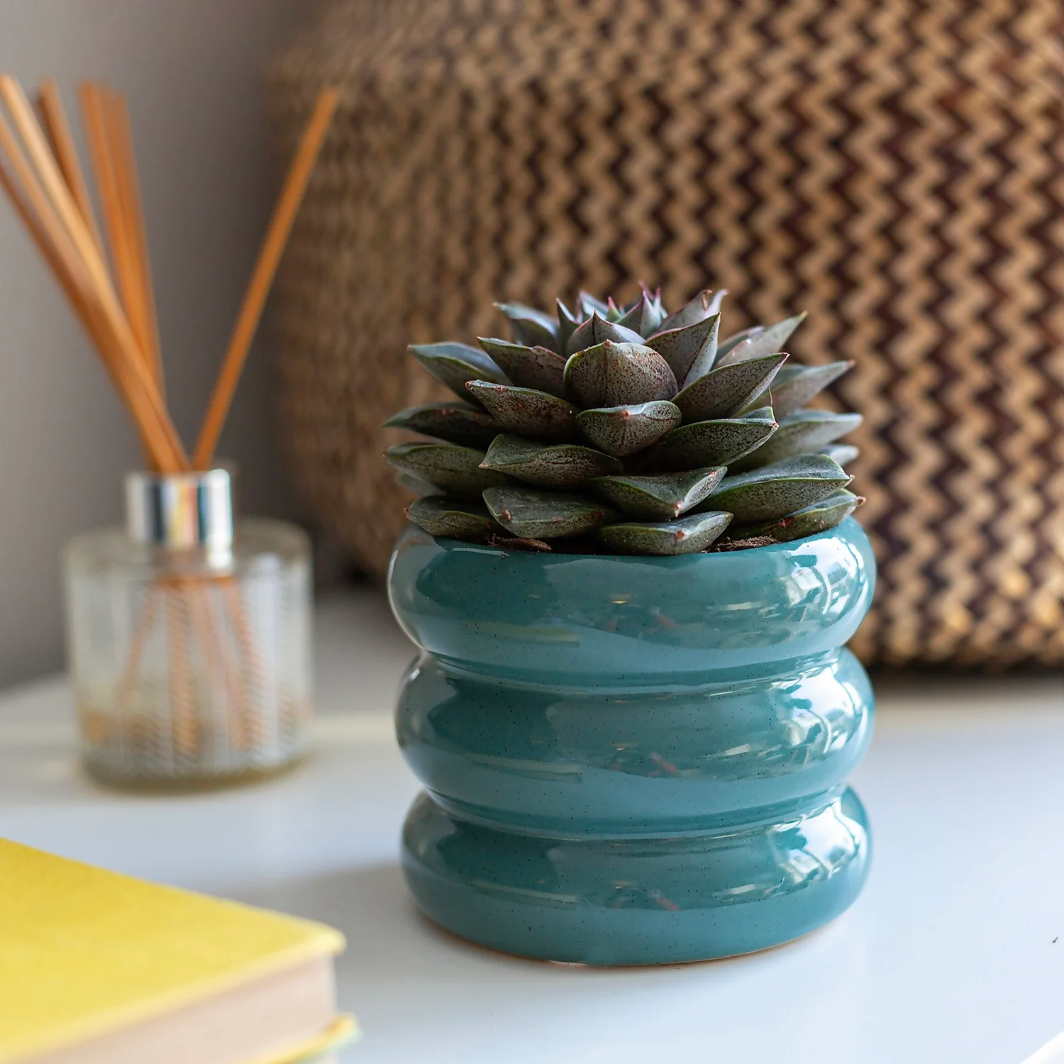 Ribbed Indoor Plant Pot - 11cm 2 Ribbed Indoor Plant Pot - 11cm - Image 2