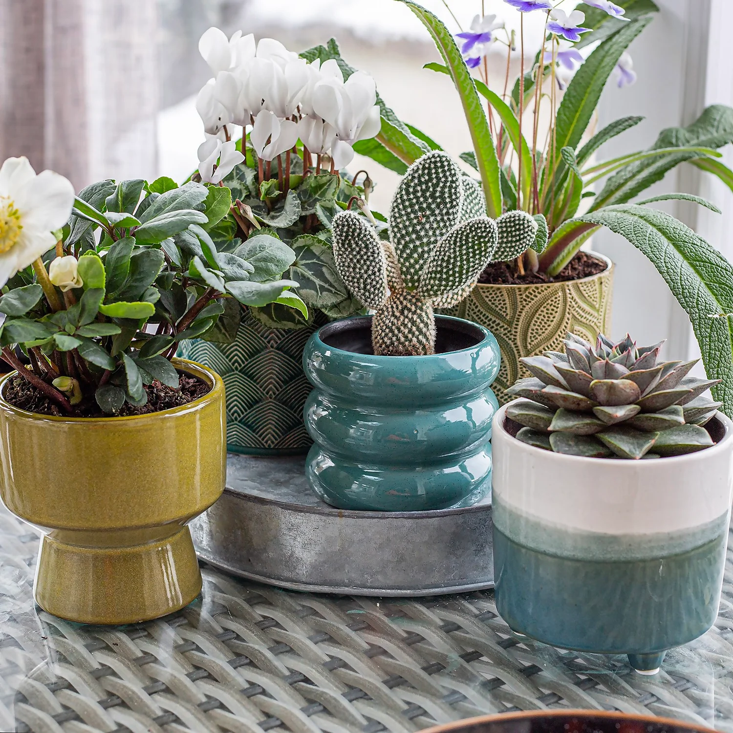 Ribbed Indoor Plant Pot - 11cm 7 Ribbed Indoor Plant Pot - 11cm - Image 7