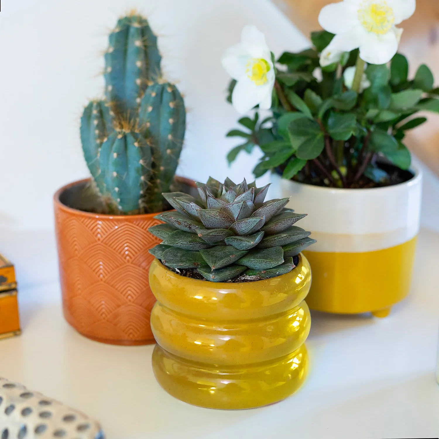 Ribbed Indoor Plant Pot - 11cm 8 Ribbed Indoor Plant Pot - 11cm - Image 8