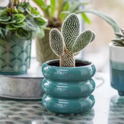 Ribbed Indoor Plant Pot - 11cm 13 Ribbed Indoor Plant Pot - 11cm -Garden Decoration 14197409 6435024191381575