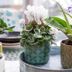 Art Deco Indoor Plant Pot - 12cm -Garden Decoration 14197411 2035024190791106