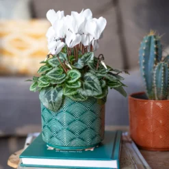 Art Deco Indoor Plant Pot - 12cm -Garden Decoration 14197411 3485024190881577