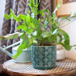 Art Deco Indoor Plant Pot - 12cm -Garden Decoration 14197411 8455024190966417